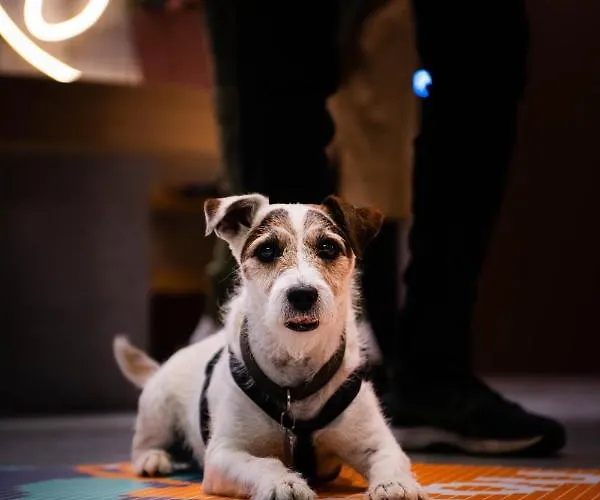 - Handwritten Collection 4* Deauville